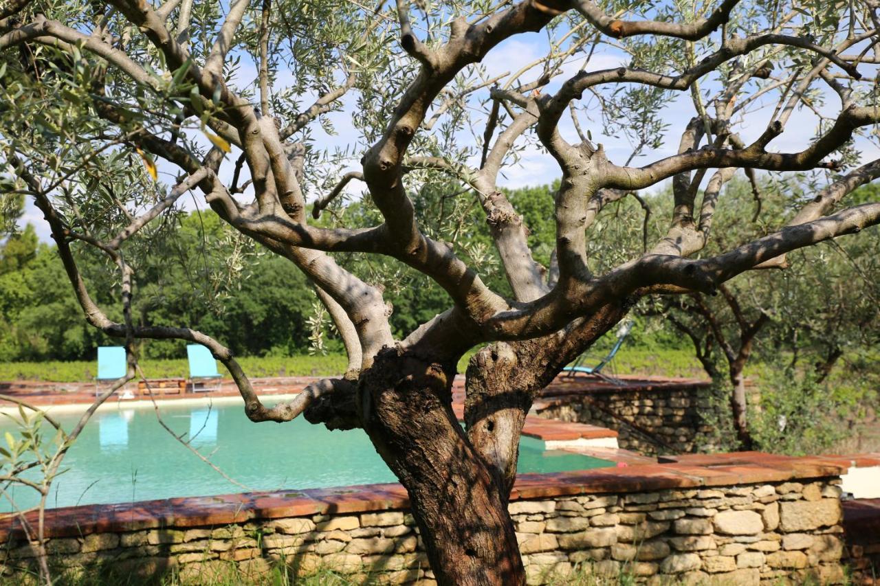 Gite Des Amis Domaine De Mas Caron Caromb Экстерьер фото